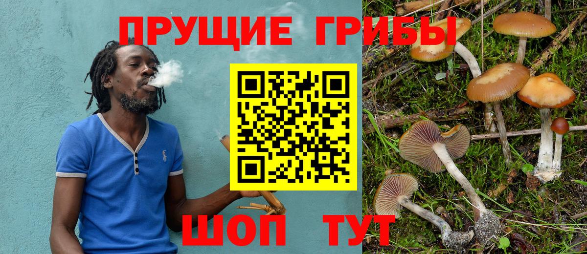 Галлюциногенные грибы GOLDEN TEACHER  закладки  Вход с VPN  Белебей  Галлюциногенные грибы MAGIC MUSHROOMS 